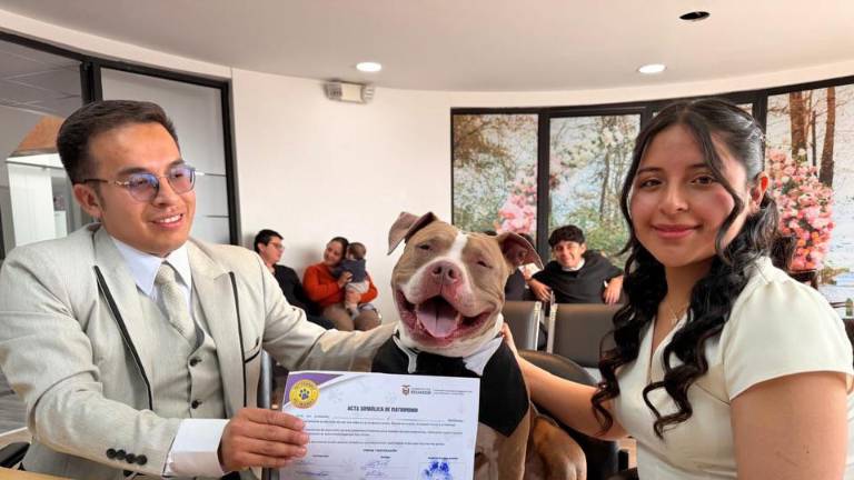 Bodas 'Pet Friendly' en Ecuador: Lucas, el perrito que fue 'testigo' de un matrimonio en Cuenca