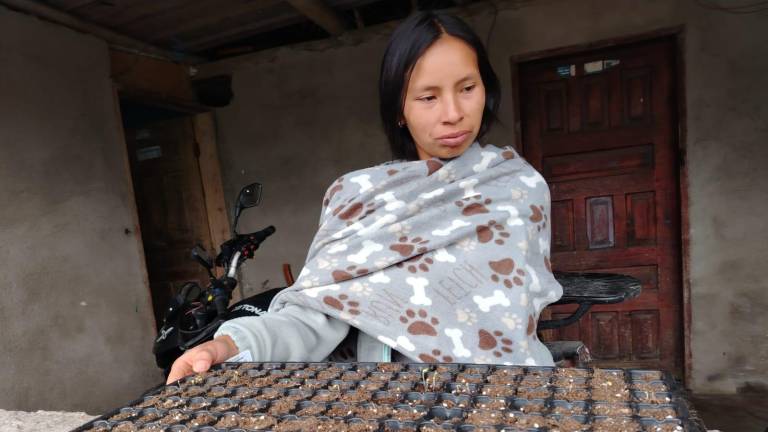 Warmi Imbabura implementó granjas orgánicas a 300 mujeres cabeza de hogar.