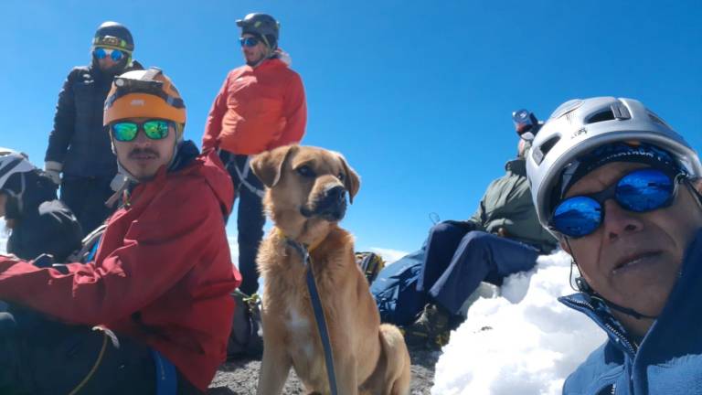 Rescatan a un perrito que sobrevivió un mes en la montaña más alta de México