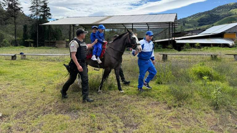 Policía Nacional abre inscripciones para terapias gratuitas con caballos: requisitos y cómo acceder
