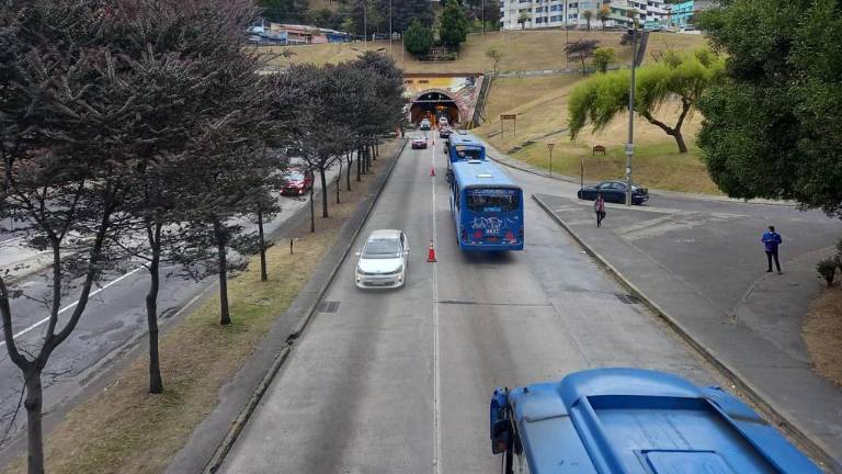 Pico y Placa se suspende este 24 de diciembre en Quito, en víspera del feriado de Navidad