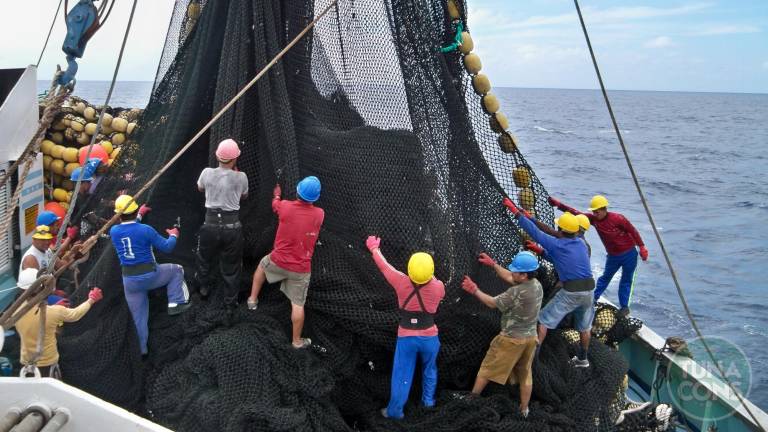 Tres atuneras ecuatorianas obtienen certificación de sostenibilidad