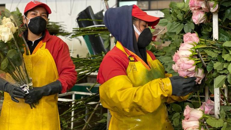 8 millones de cajas de flores y follajes exportó Ecuador en el 2021