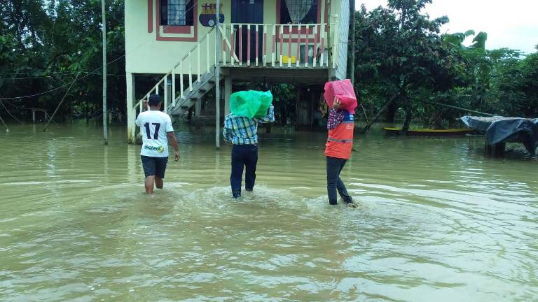 8.600 hectáreas agrícolas afectadas en Ecuador por efecto de las lluvias