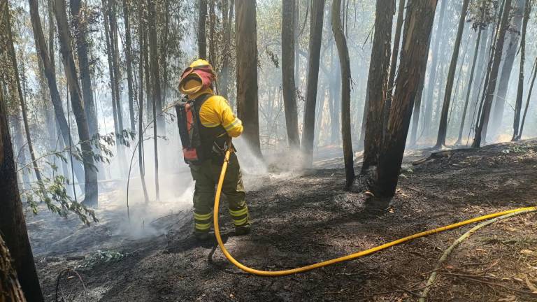 Incendios forestales en Quito: Bomberos controlan fuego en Rumipamba