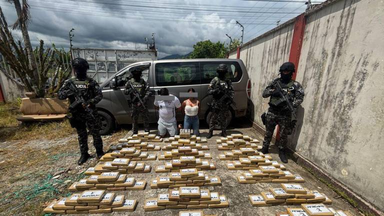 Golpe al narcotráfico: operativo en carreteras deja más de 300 mil gramos de droga incautados en Napo