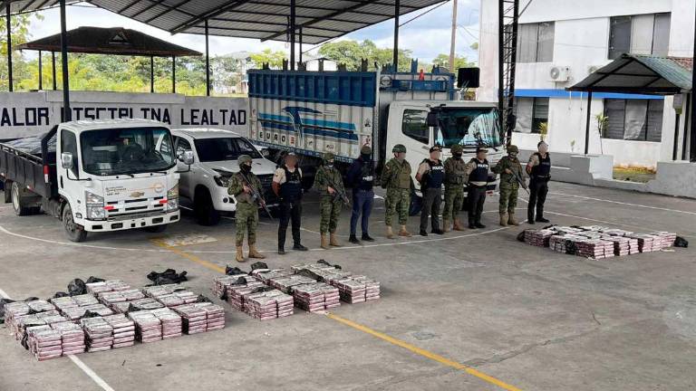33 bultos con sustancias catalogadas sujetas a fiscalización fueron decomisados en el cantón Santa Clara (Pastaza).