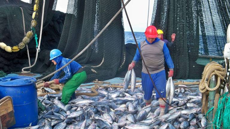 La captura de atún en el Océano Pacífico Oriental aumentó durante el 2021