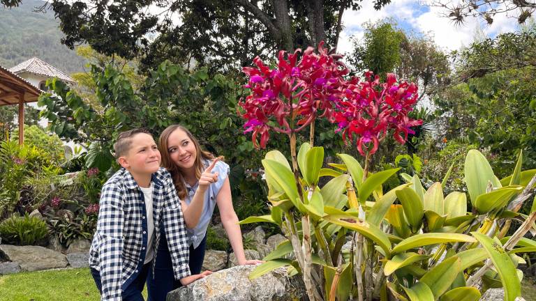Uzhupud Garden, un jardín en La Higuera de Paute que te conecta con la naturaleza