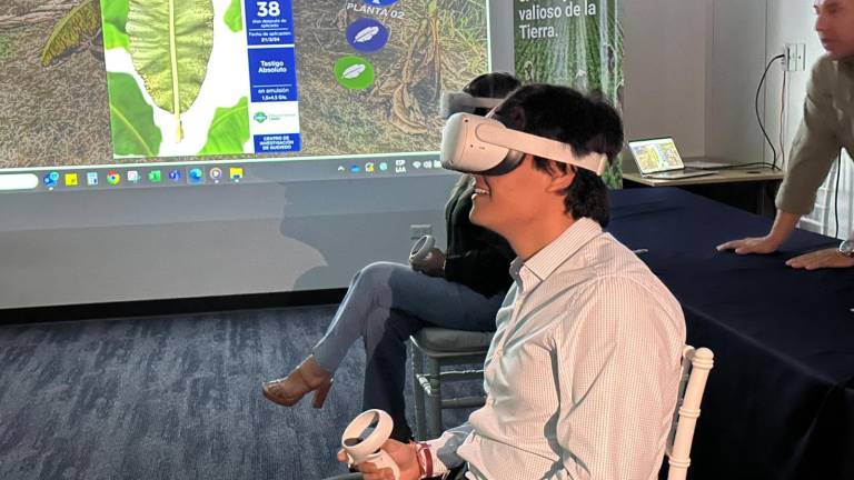 Showroom virtual, nueva herramienta tecnológica para ayudar a los bananeros