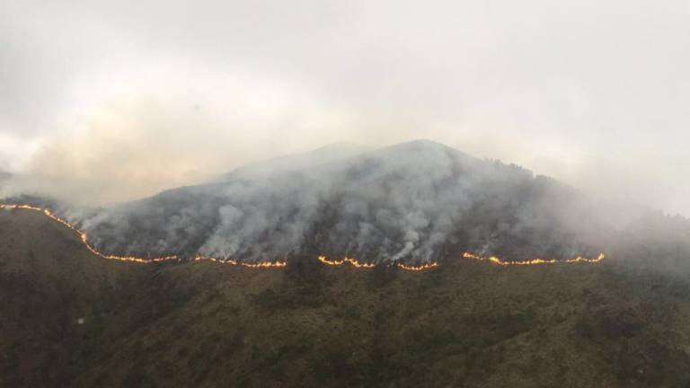 Incendio forestal cerca de El Cajas afecta 60 hectáreas