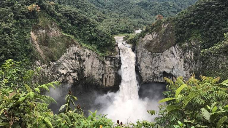 Tena obtuvo primer lugar en el "City Nature Challenge"