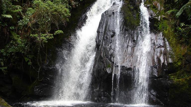 Unos 4.500 mineros ilegales operarían dentro del Parque Nacional Podocarpus