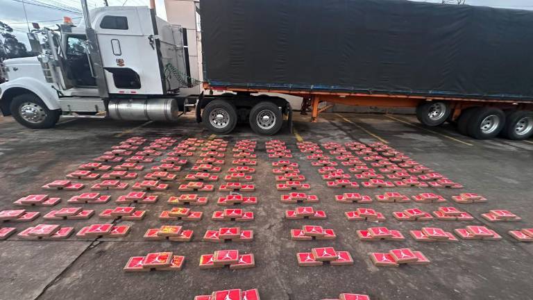 Decomisan cargamento de más de 350 kilos de cocaína en Carchi: así fue el operativo policial