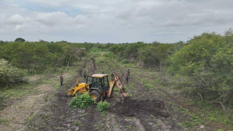 Fuerzas Armadas descubrió una pista clandestina para narcoavionetas en la isla Puná