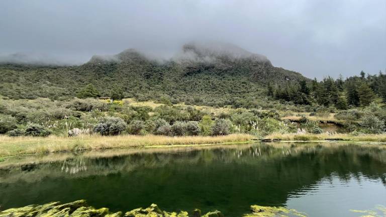 Curiquingue-Gallocantana es una nueva Área Protegida del Ecuador