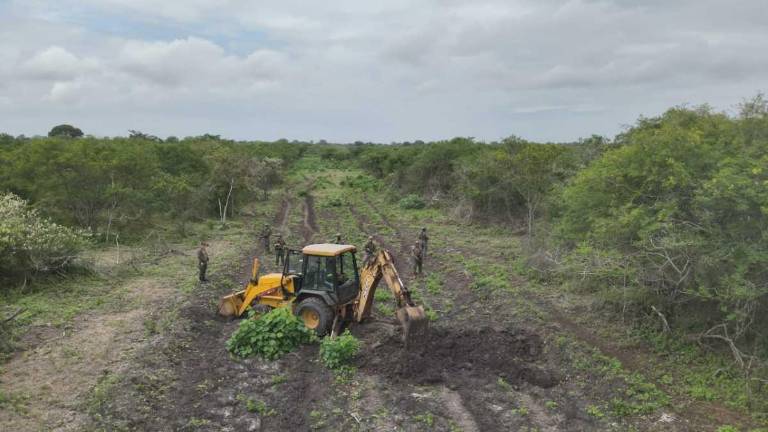Con una excavadora se realizó la inhabilitación de una pista clandestina con una extensión de 1 ¹/² Km en la Isla Puná.