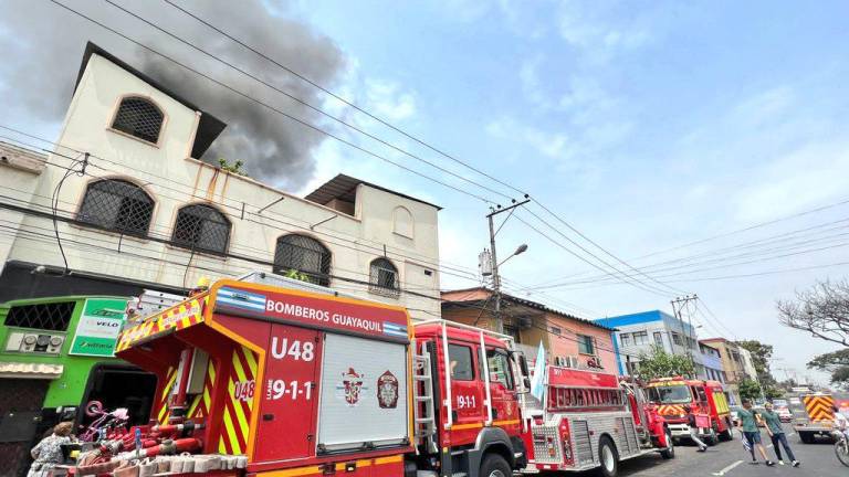 VIDEOS: Así fue cómo bomberos de Guayaquil rescataron a 5 perritos de un incendio en Sauces 8