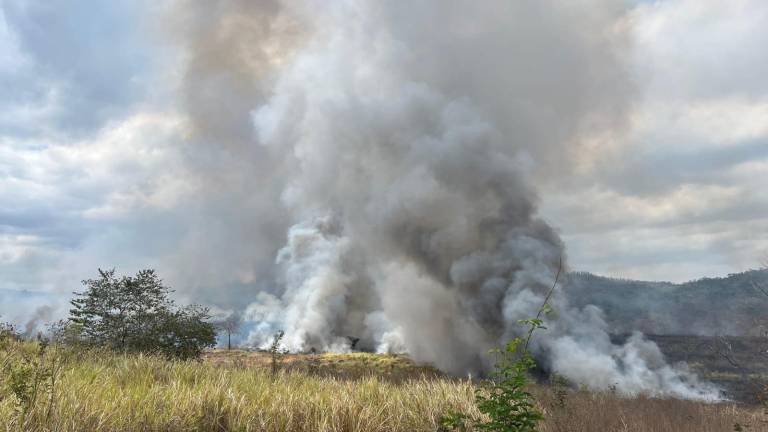 ¿Por qué huele a caucho quemado en Guayaquil? Segura Ep y Bomberos explican la razón
