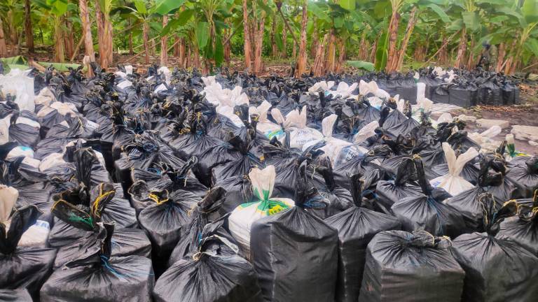 Cerca de 22 toneladas de droga halladas debajo de una chanchera en Vinces, provincia de Los Ríos