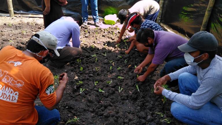 Alianza contribuye con el desarrollo de comunidades y sus ecosistemas