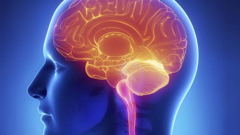 El traumatismo cerebral triplica el riesgo de suicidio