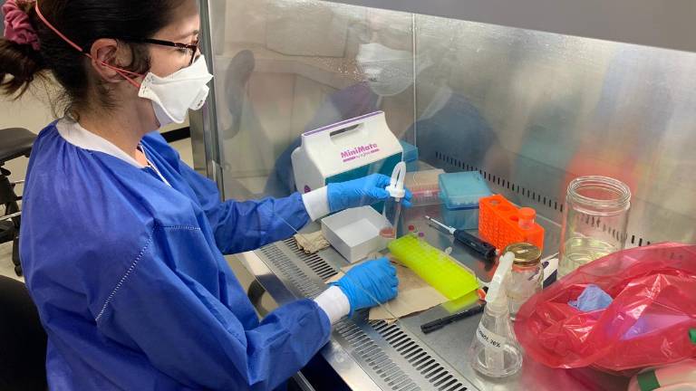 El covid-19 registra 25 variantes en Ecuador