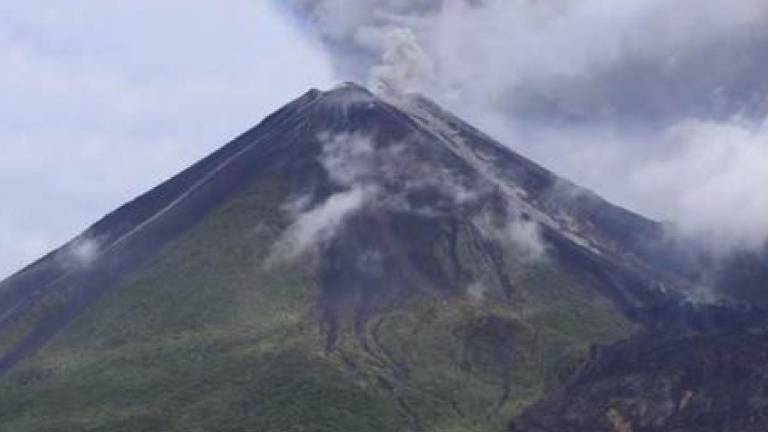 Volcán Reventador mantiene alta actividad y emisión de 650 metros