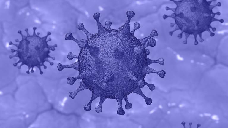 Anticuerpos de paciente recuperado del SARS inhiben el nuevo coronavirus
