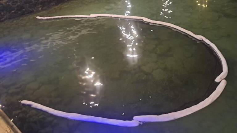 Detectan mancha de hidrocarburos en muelle de Santa Cruz, en Galápagos