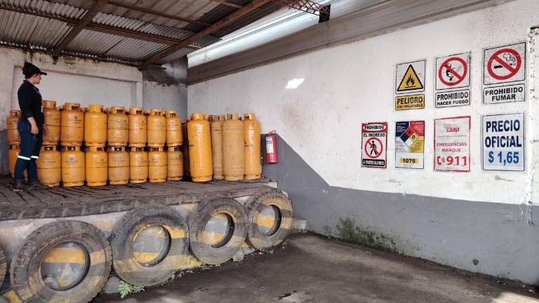 Gobierno refuerza control de precio del gas de uso doméstico tras eliminación del subsidio al diésel