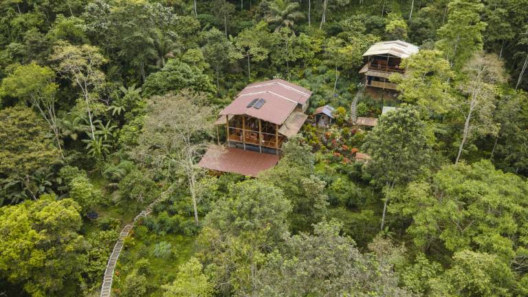 La reserva Jama Coaque protege uno de los últimos bosques nubosos de la costa de Ecuador