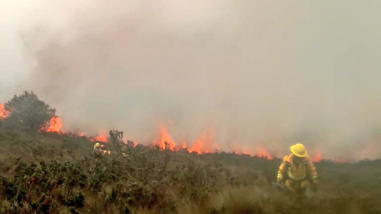 Consumidas unas 650 hectáreas en incendio forestal en Quito