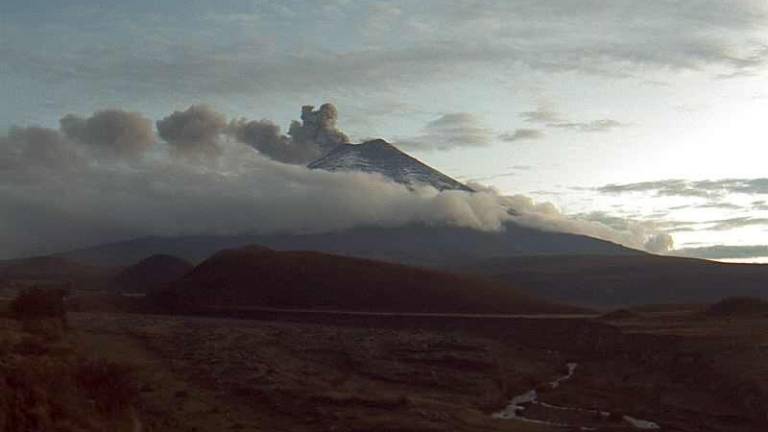 Volcán Cotopaxi emana columna de ceniza de unos 1.100 metros