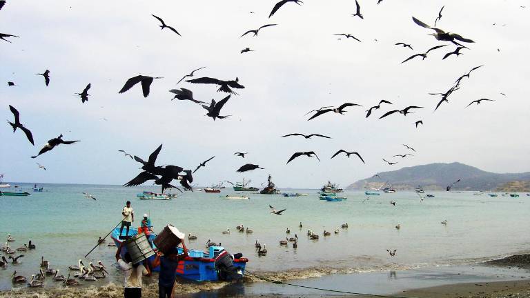 Ecuador cuenta con catálogo de productos de pesca artesanal