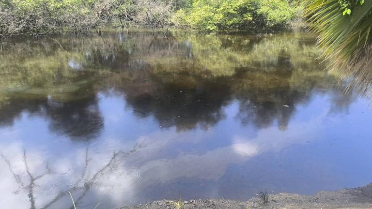 Mancha negra recorre el Estero Salado.