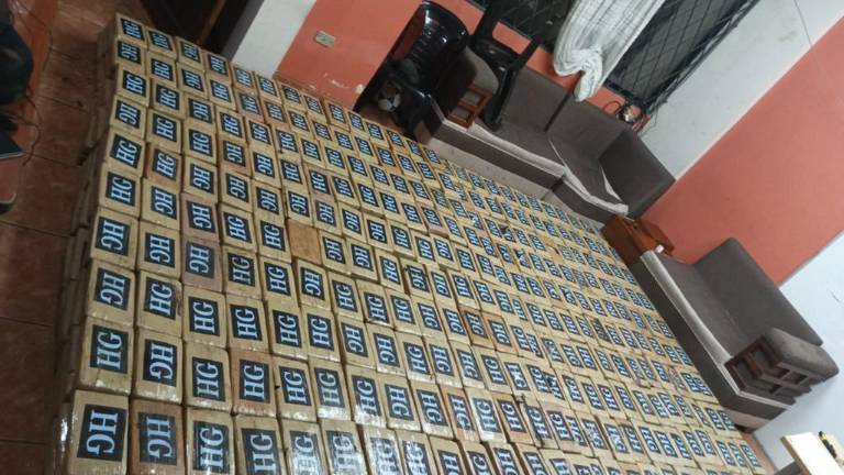 Incautan más de una tonelada de clorhidrato de cocaína que era transportada en un camión