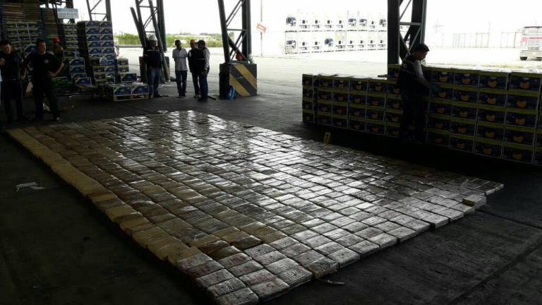 Incautan 1 tonelada de droga camuflada en cajas de banano