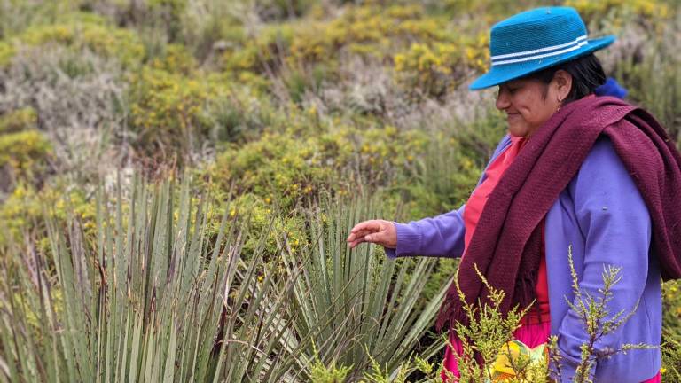 Este es el Bosque Protector Aguarongo, de la comunidad Carmen de Jadán, una de las comunidades beneficiarias del programa Agua por el Futuro.