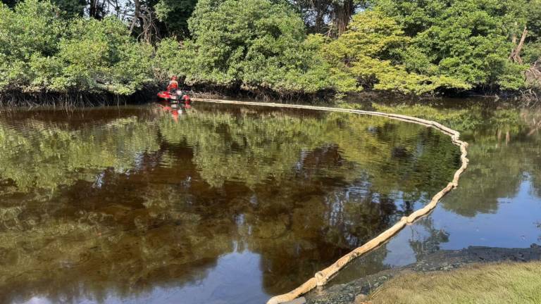 Fotografía que muestra un cerco flotante siendo desplegado en el área afectada del manglar.