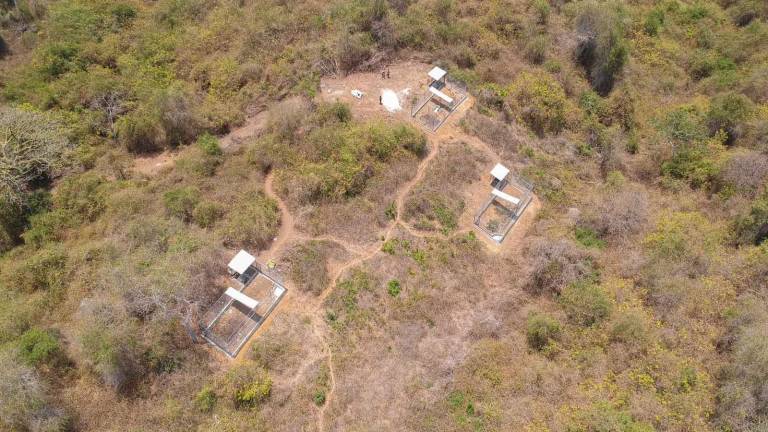 Proyecto Sacha inaugurará el centro de rehabilitación y rescate de fauna silvestre más grande de la costa ecuatoriana