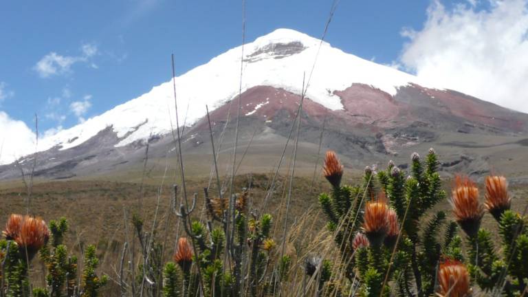 Abierto en un 90% el parque nacional del volcán Cotopaxi