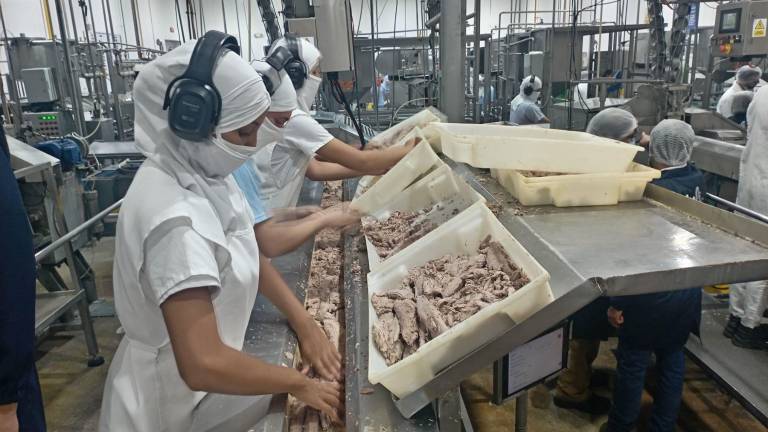 Ecuador descargó y procesó 691.214 toneladas de atún, destinando más de 350.000 toneladas al exterior.