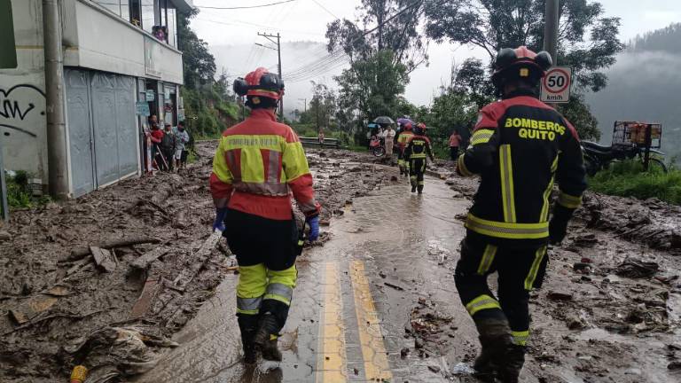 Guapulo: Se reporta un deslizamiento de tierra y la caída de árbol en la Av. De Los Conquistadores