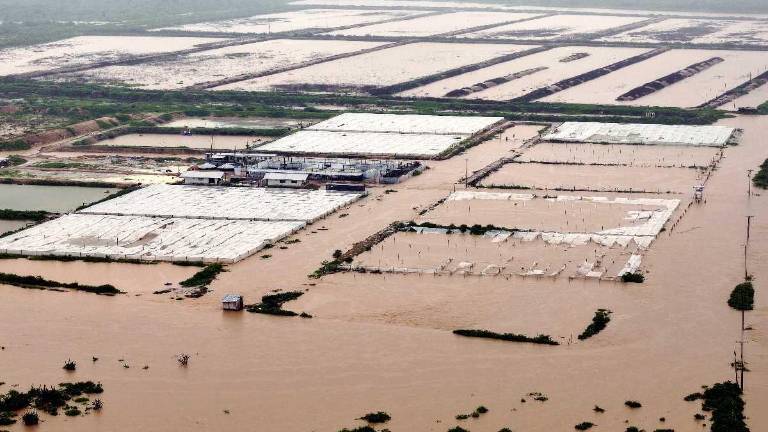 En los próximos tres meses se puede confirmar si de octubre de 2026 a febrero de 2027 se producirá el Fenómeno de El Niño