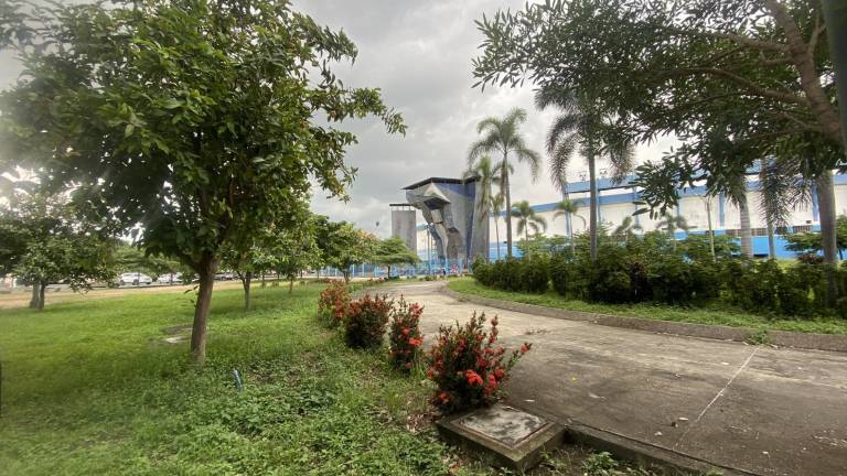 Separan a entrenador de Fedeguayas por supuesto abuso sexual a un atleta