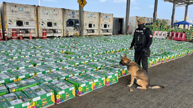 Decomisan en Posorja casi 600 kilos de cocaína ocultos en un cargamento que iba a Libia