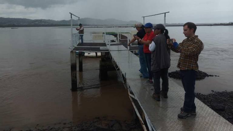 Agua del río Esmeraldas superó las pruebas de calidad para ser potabilizada