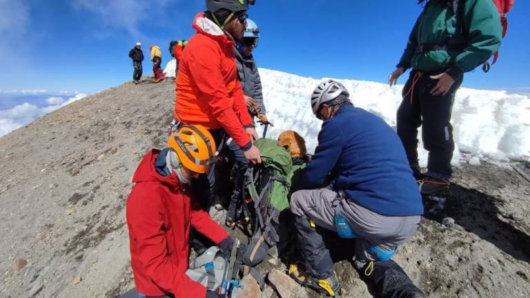 Rescatan a un perrito que sobrevivió un mes en la montaña más alta de México