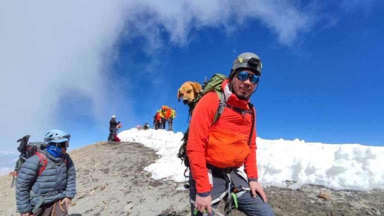 Rescatan a un perrito que sobrevivió un mes en la montaña más alta de México